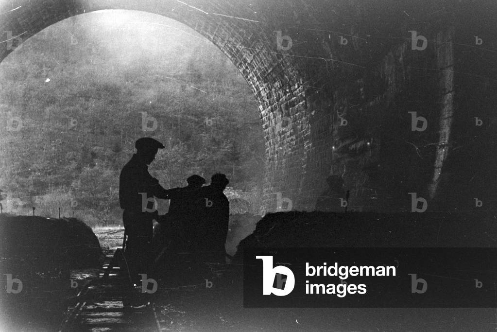 A mushroom cultivation station at a tunnel under a vineyard, Germany 1930s (b/w photo)