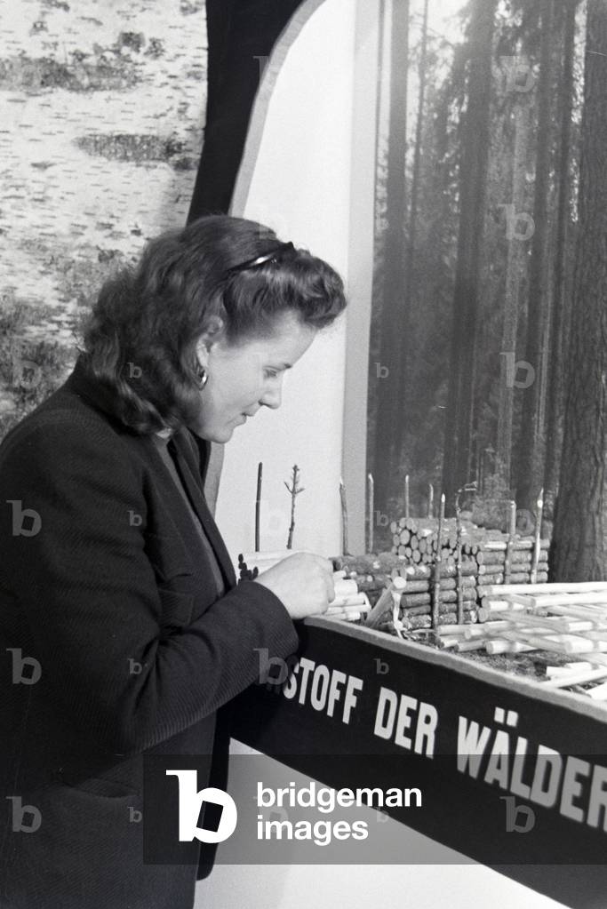 A visitor of the Leipziger Frühjahrsmesse in front of a model of the utilization of the raw material wood, Germany 1941 (b/w photo)