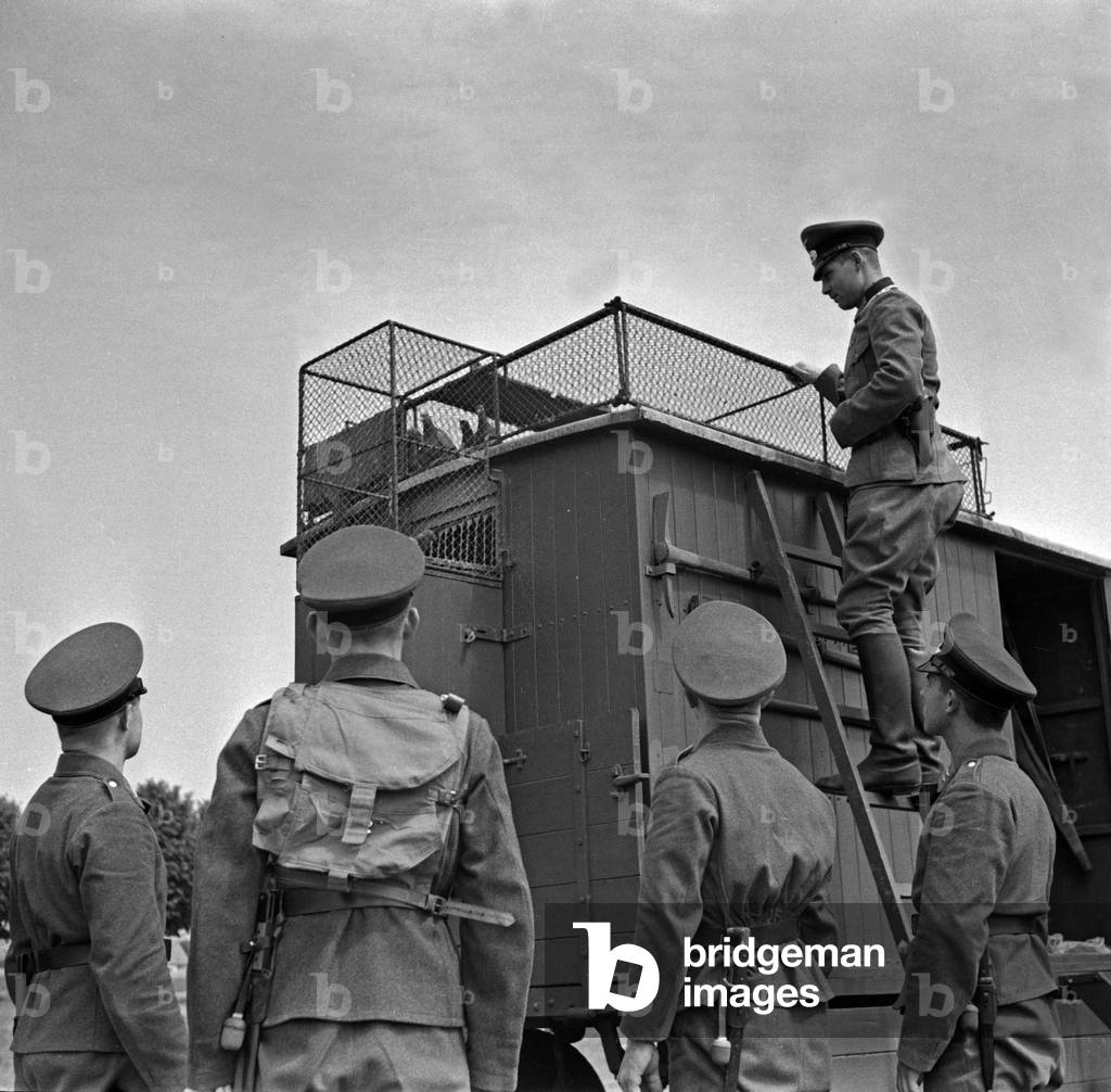 Recruits of the German Luftwaffe with a mobile dovecote for carrier pigeons, Berlin Spandau 1930s (b/w photo)