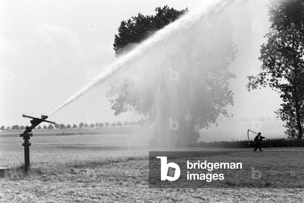 A sprinkler system in its agricultural use at a potato field, Germany 1930s (b/w photo)