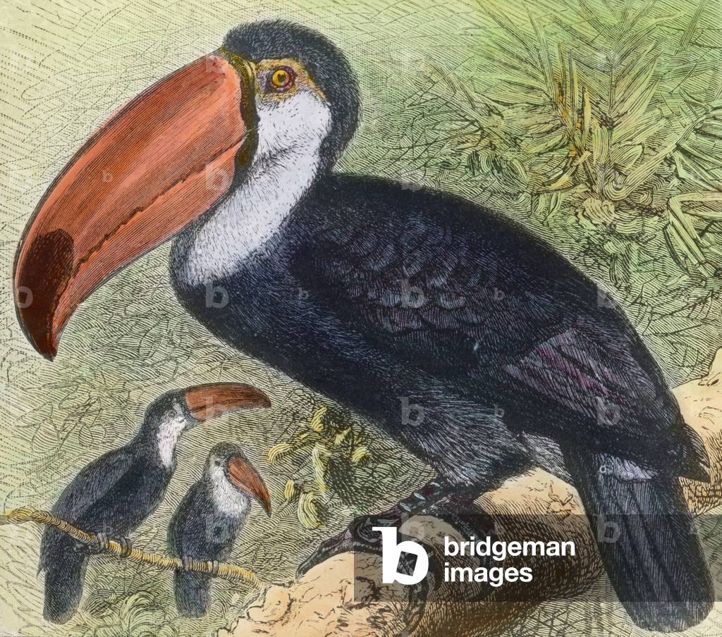 Visiting a bird's department at a zoological garden, 1920s