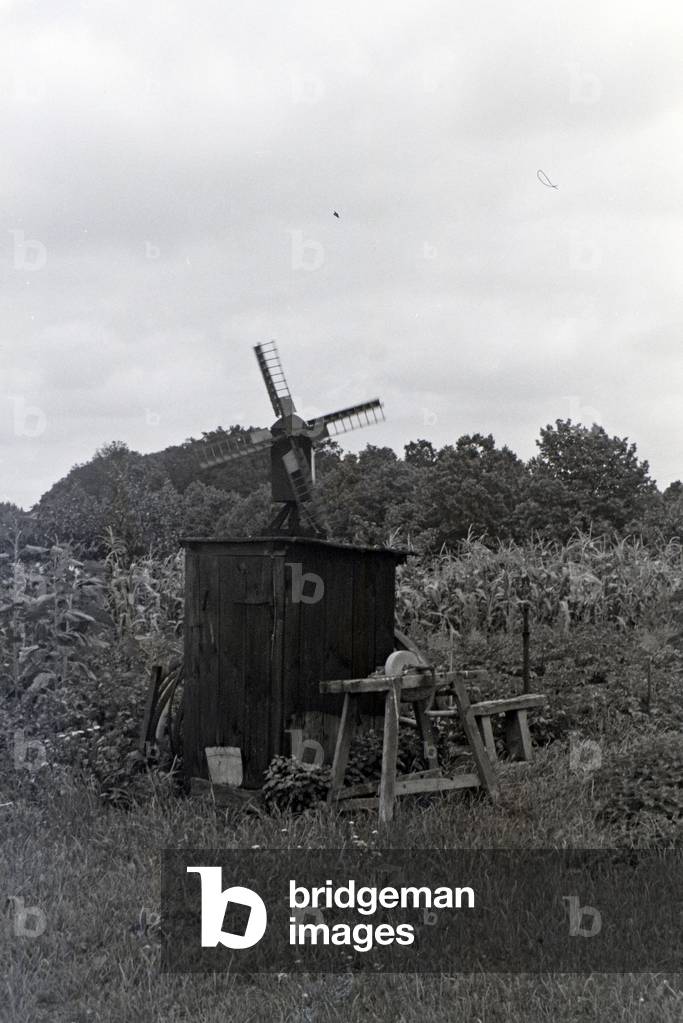 Mr. Zwez (b/w photo)