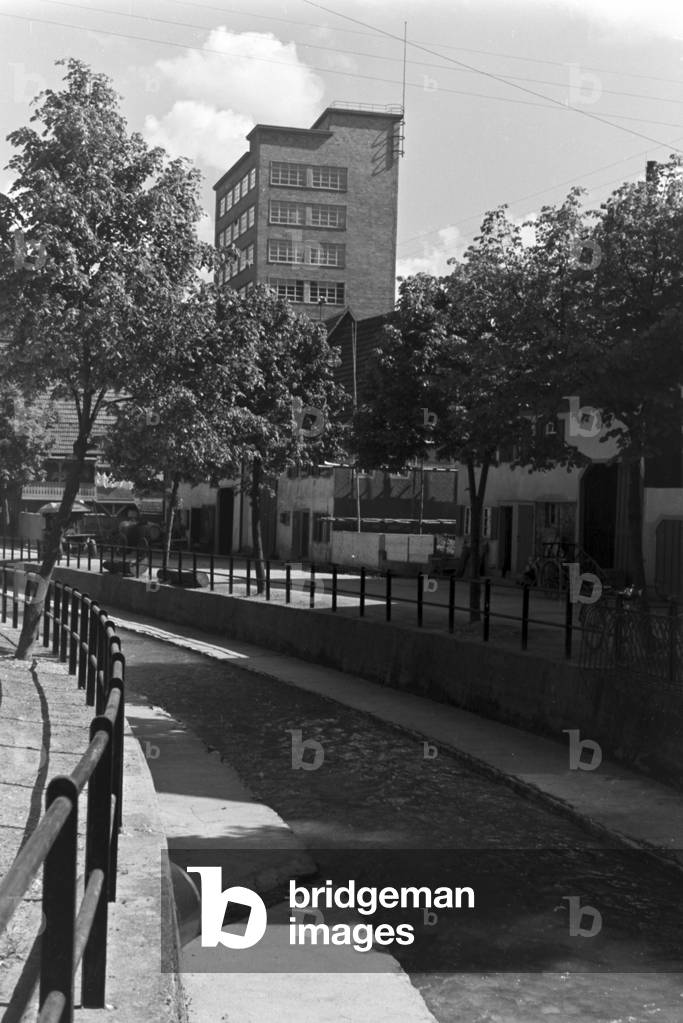 A trip to Tailfingen, Germany 1930s (b/w photo)