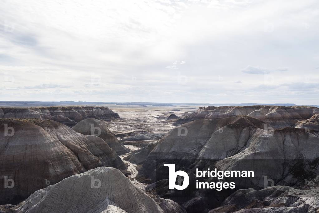 Petrified Forest National Park, Arizona