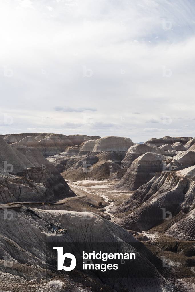 Petrified Forest National Park, Arizona
