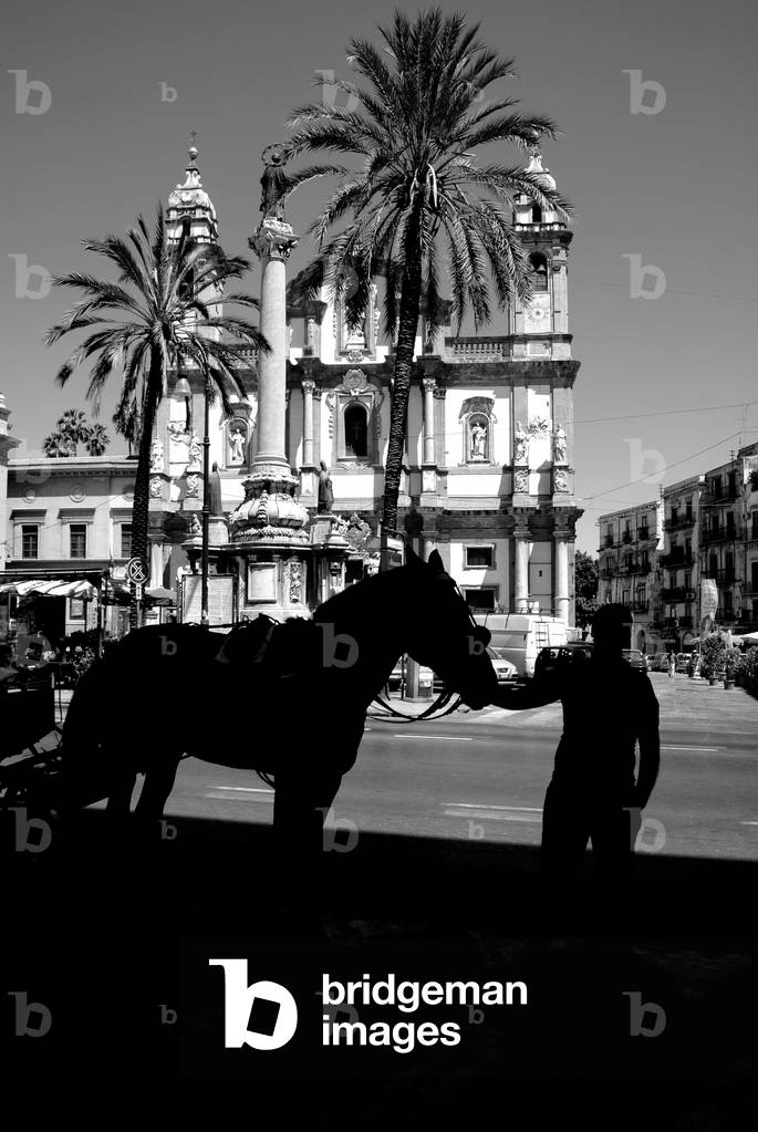 A horse in front of San Domenico Church in Palermo, Sicily, Italy, 2012 (b/w photo)