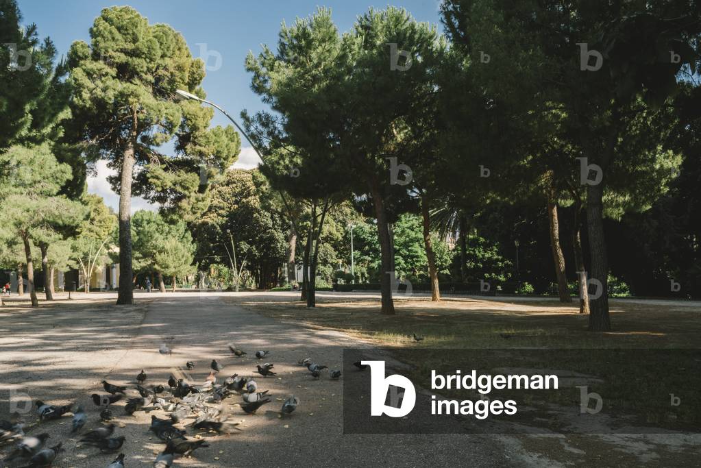 Giardino Piersanti Mattarella, former Giardino Inglese Palermo, Sicily, Italy (photo)