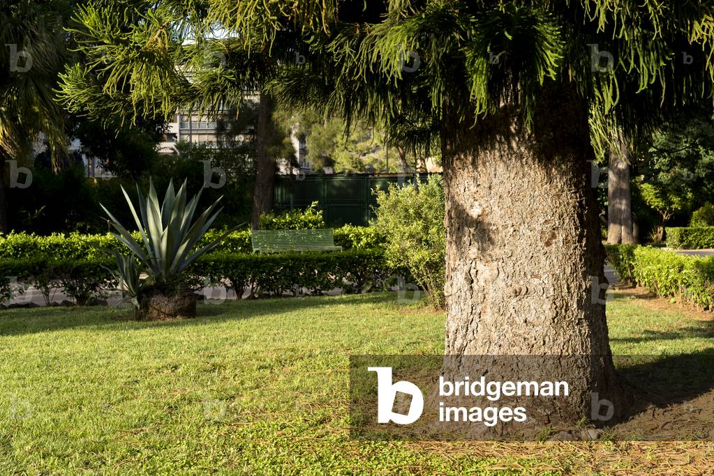 Giardino Piersanti Mattarella, former Giardino Inglese Palermo, Sicily, Italy (photo)