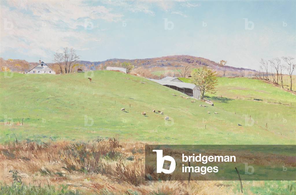 Sheep in the West Meadow, Valley View Farm, Virginia, c.2002 (oil on canvas)