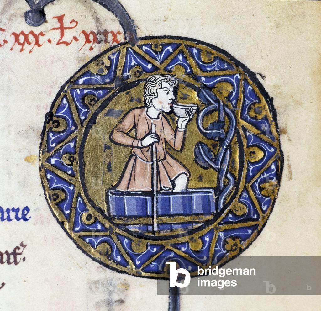 Agricultural work: the harvest, a peasant trampling the grapes while drinking a cup of wine. Miniature depicting the month of September from a psalter, Biblioteca estense de Modene, Italy