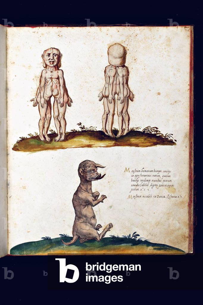 Monster creatures. Illustrated chart of a manuscript of Natural History by Ulisse Aldrovandi (1522-1605), Ulisse Aldrovandi fonds, University Library of Bologna, ed. 1603.