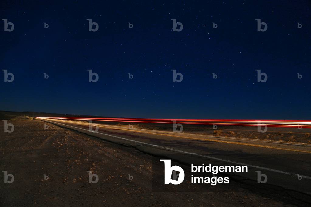 Nightrider, 2016 (photo)