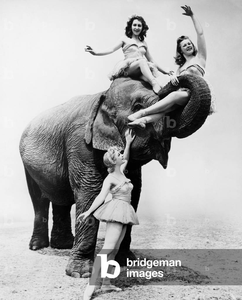Free Ride
