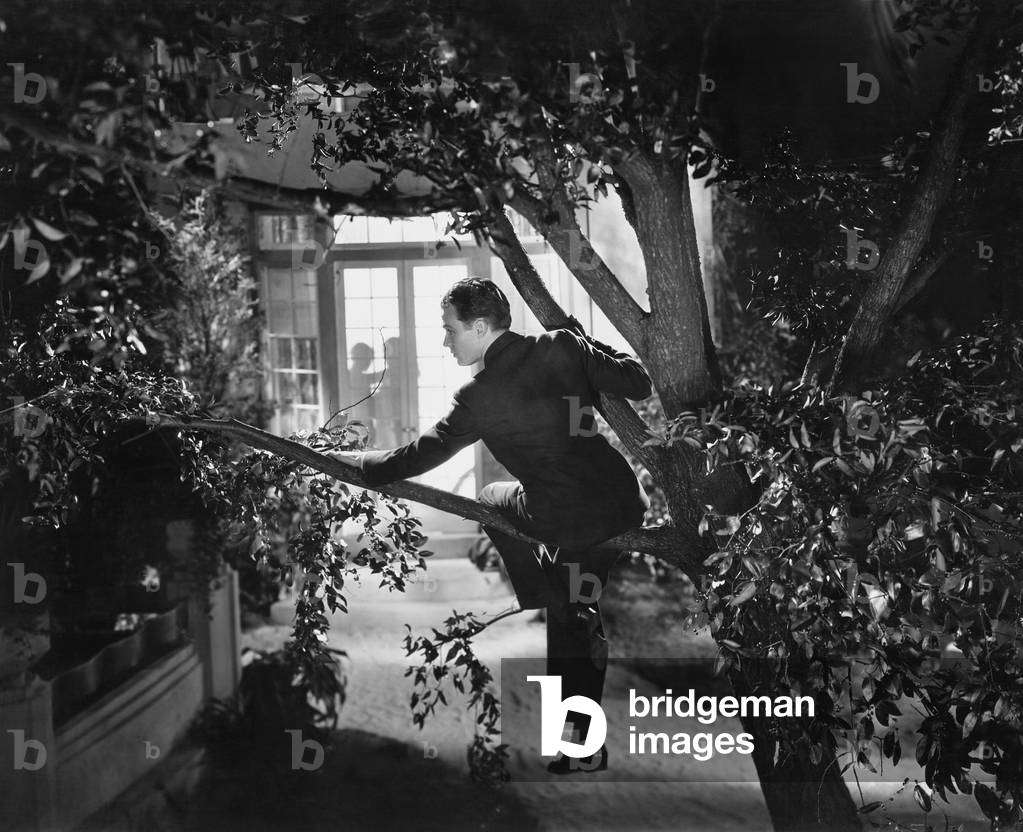 PARTY CRASHER (EV001404_H)