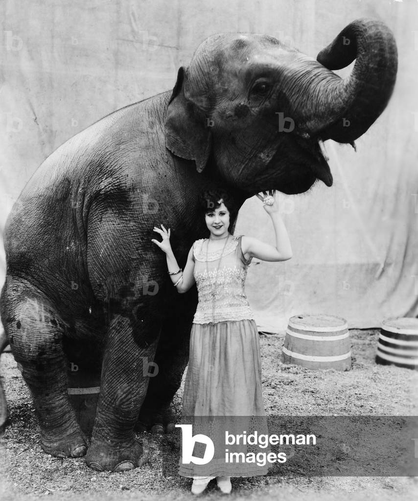 Portrait of a Young Woman Standing Under an Elephant