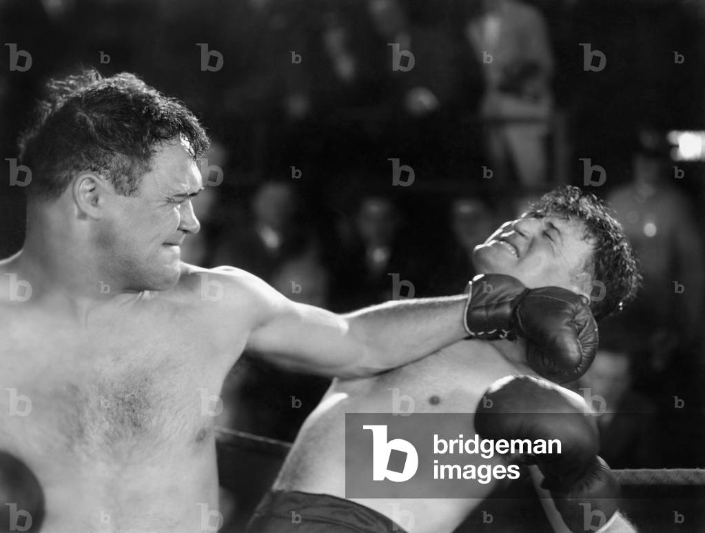 Boxer Giving a Punch
