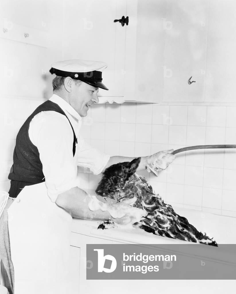 Man Washing his Dog in a Tub