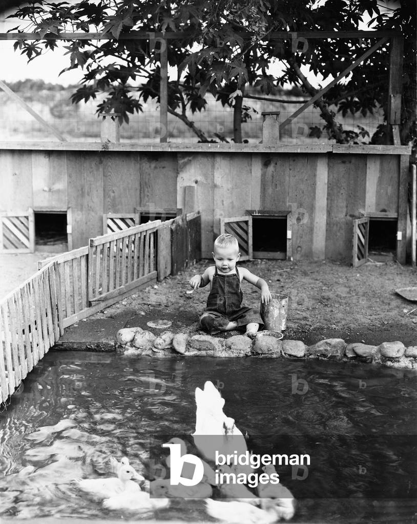 Child at Edge of Duck Pond