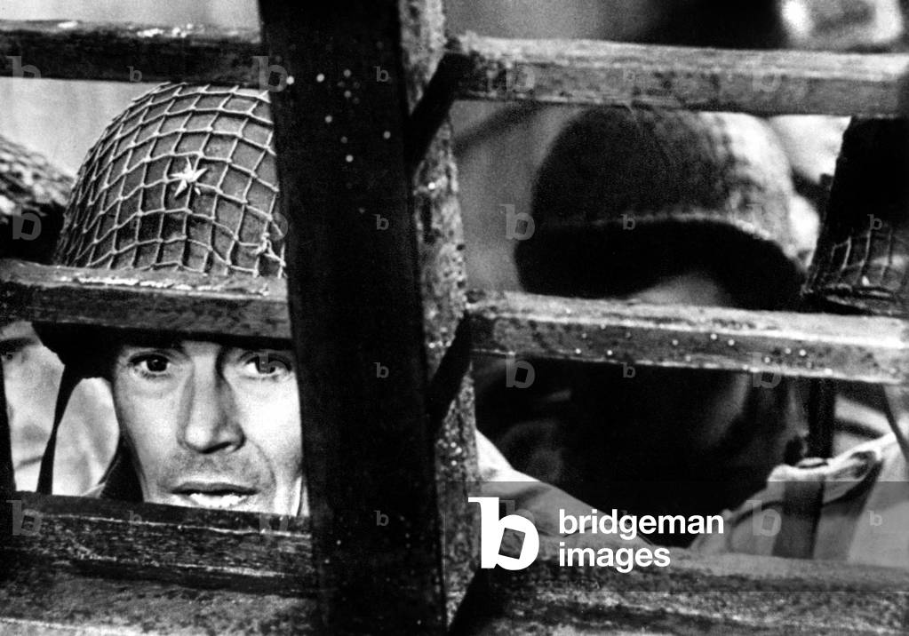 Le jour le plus long