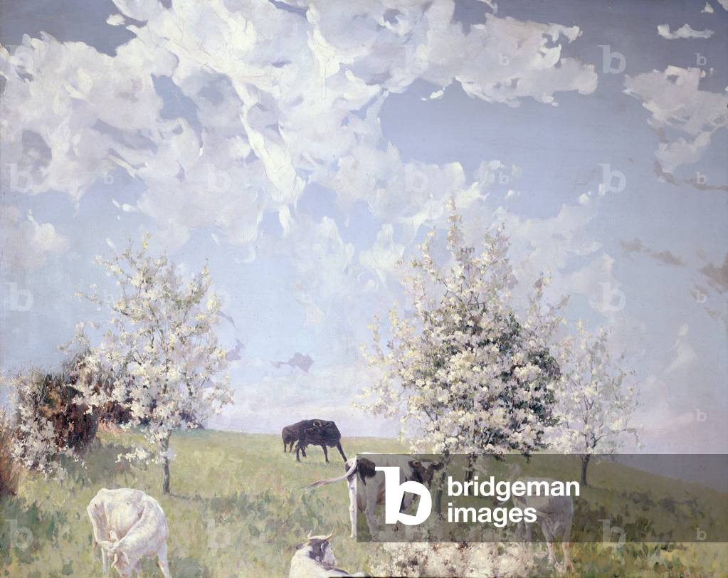 Die Birne, die Schlehe und der Frühling