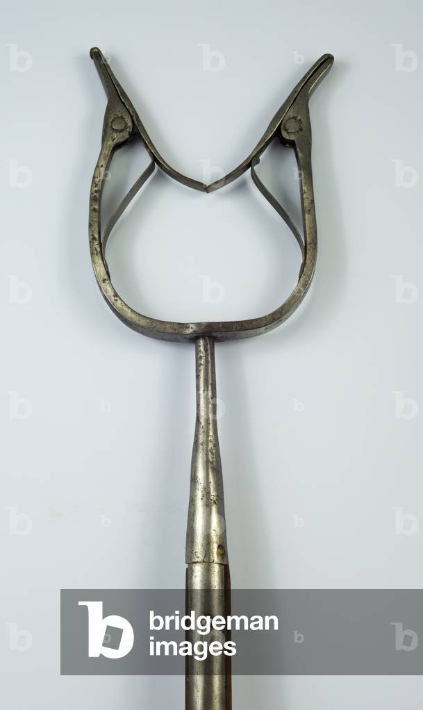 Catchpole (steel, iron & wood)