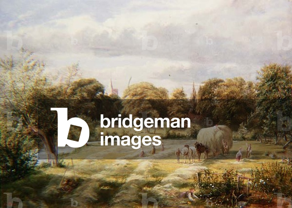 Ernte in der Nähe von Cranbrook, Kent