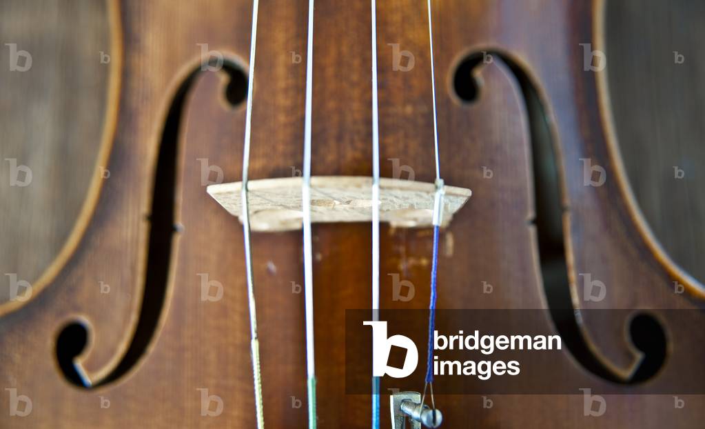 Violin
