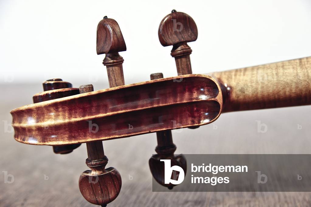 Violin