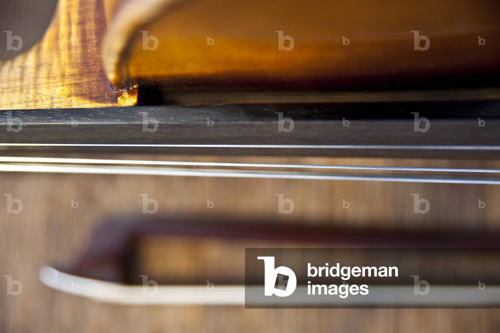 Violin
