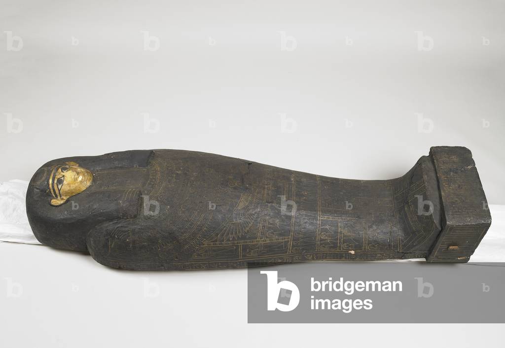 Animal Remains; Human Remains; Mummy of Nesmin