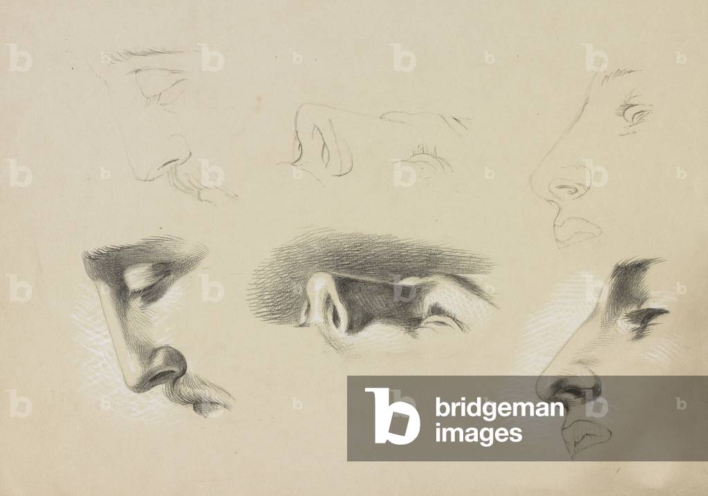 Six profile studies of a male head, c.1870 (pencil with white heightening on paper)