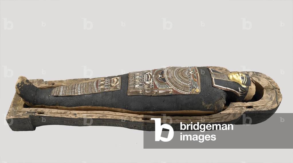 Animal Remains; Human Remains; Mummy of Nesmin