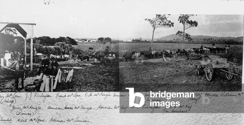 Waipu farmers bringing their cream to the dairy factory (b/w photo)