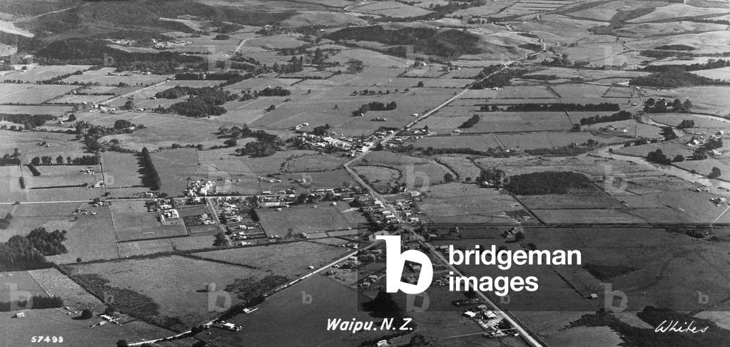 Waipu and surrounding farmland, c.1950 (b/w photo)