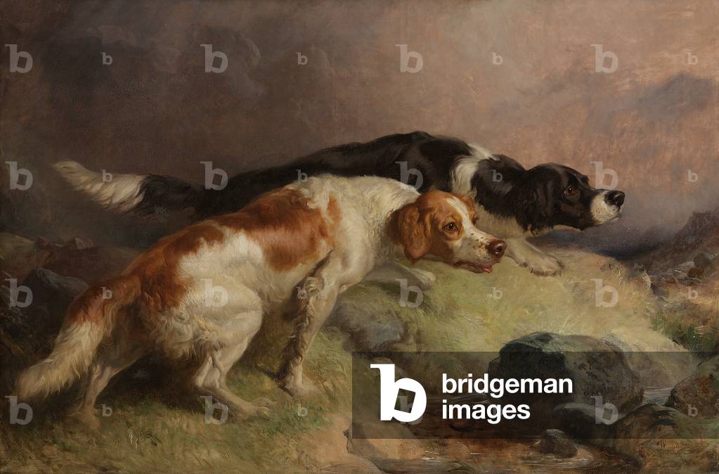 Sandters on the Moor (oil on canvas)