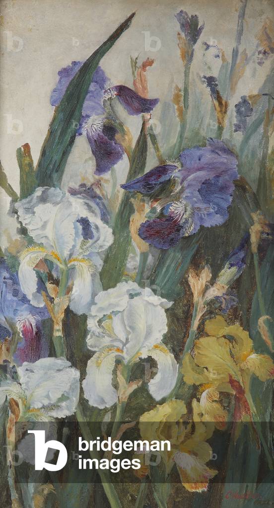 Irises, 1882 (oil on canvas)