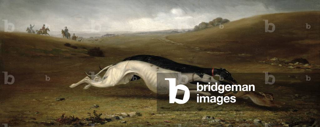 Hare Coursing in a Landscape, 1870 (oil on canvas)