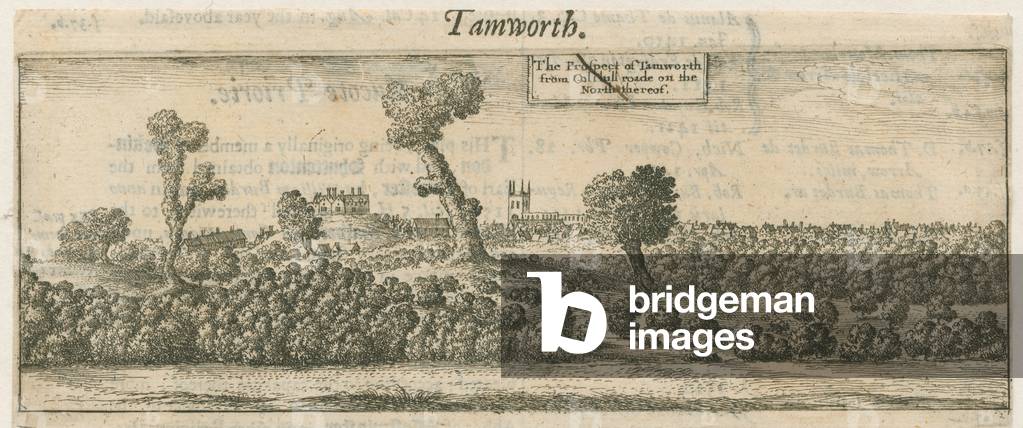 Tamworth - Panorama: copper-plate engraving, nd [17th cent] (print)