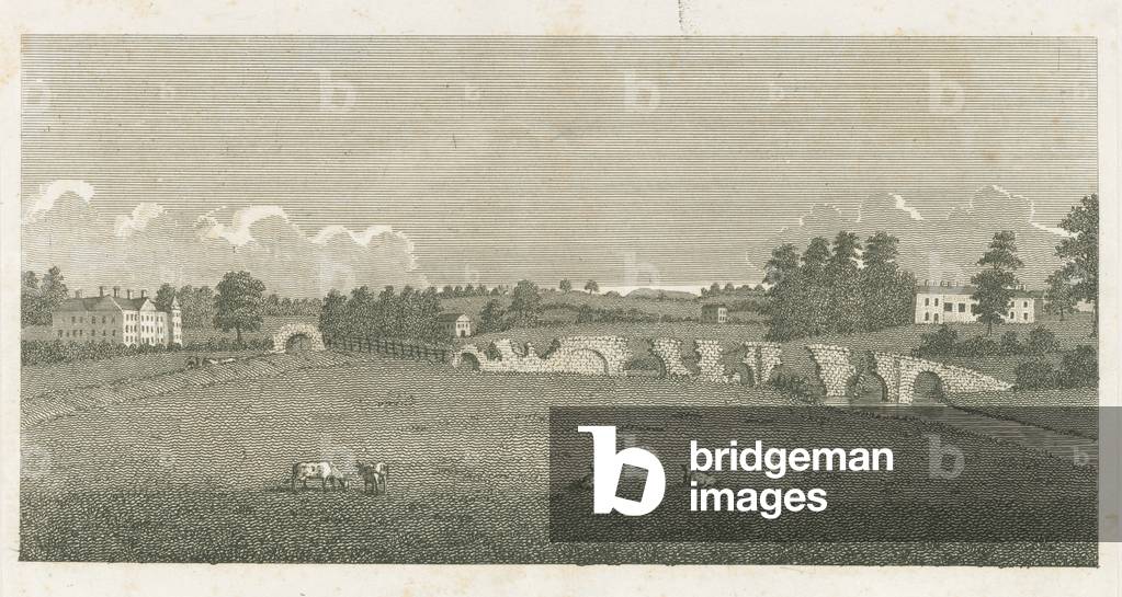 Wolseley Bridge: engraving, 1802 (print)
