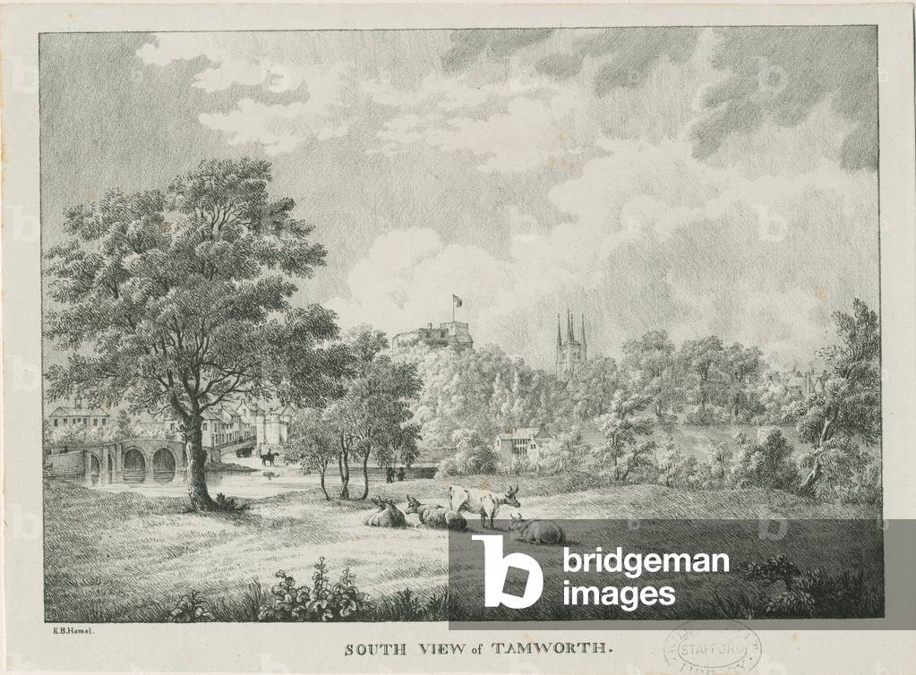 Tamworth - Distant View from South: lithographed, nd [1796-1865] (print)