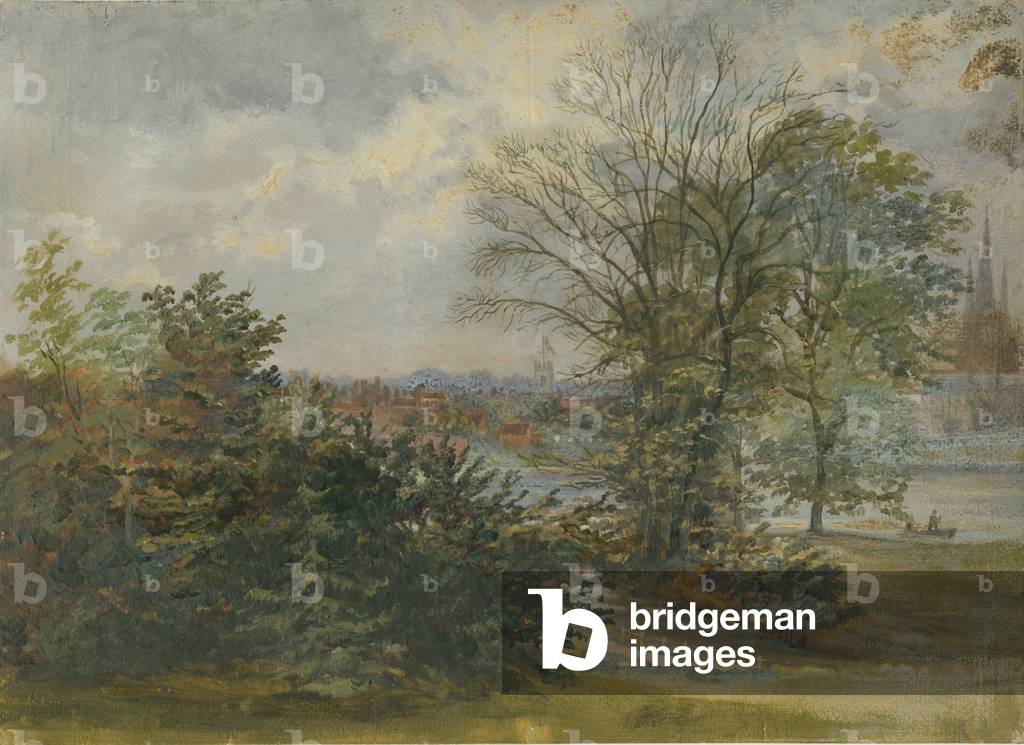 Lichfield - Distant View: oil painting, nd [?19th cent] (painting)