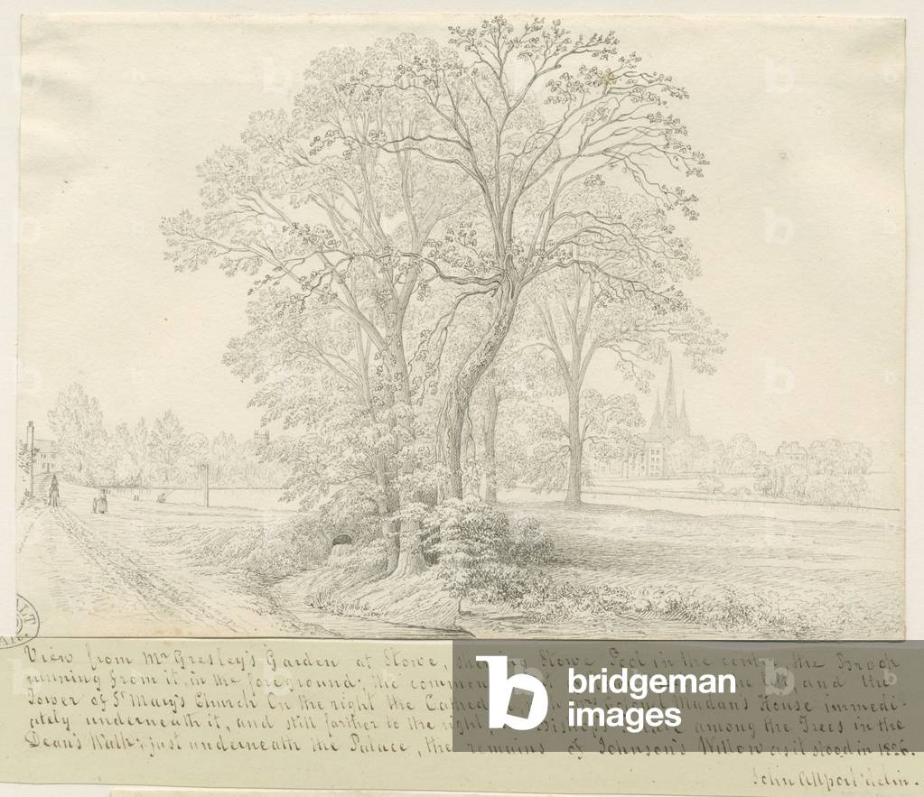 Lichfield - View across Stowe Pool: pen drawing, nd [1826] (drawing)