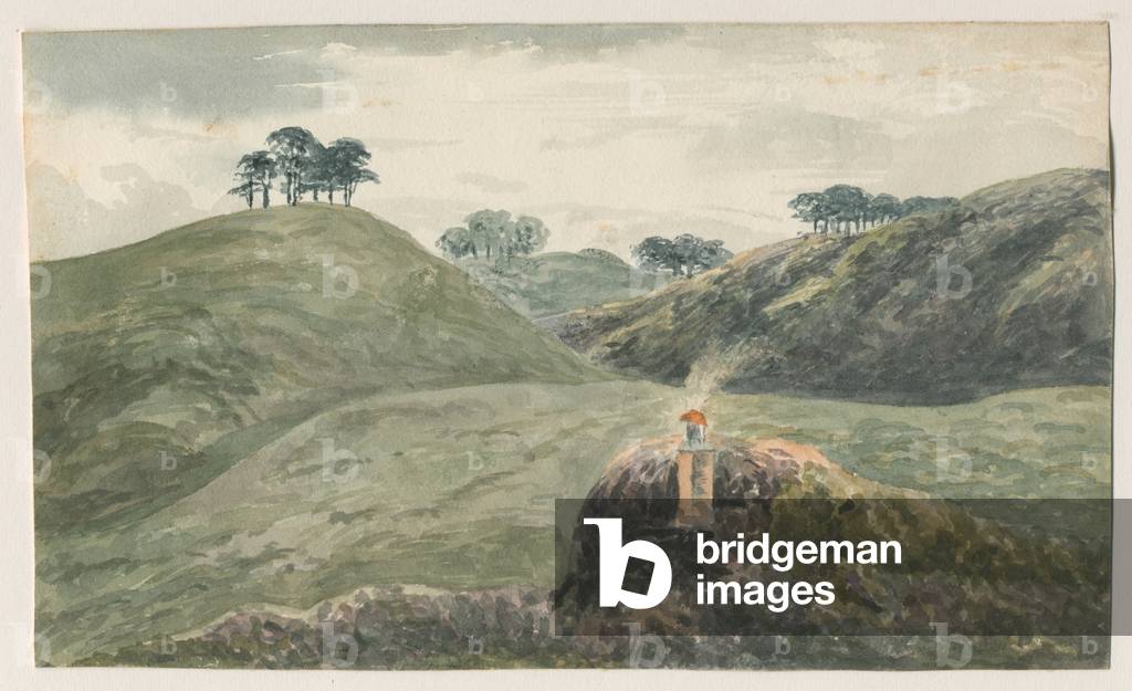 Walton-on-the-Hill - Cannock Chase: water colour painting, nd [?19th cent] (painting)