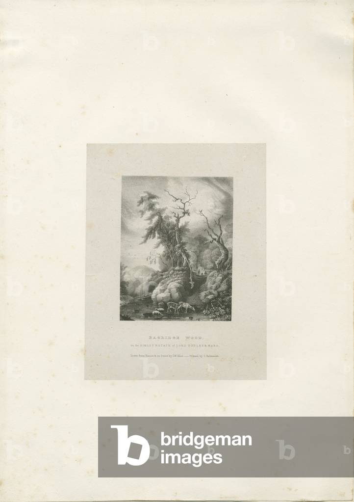Himley Estate - 'Bagridge Wood': lithograph, nd [1789-1850] (print)