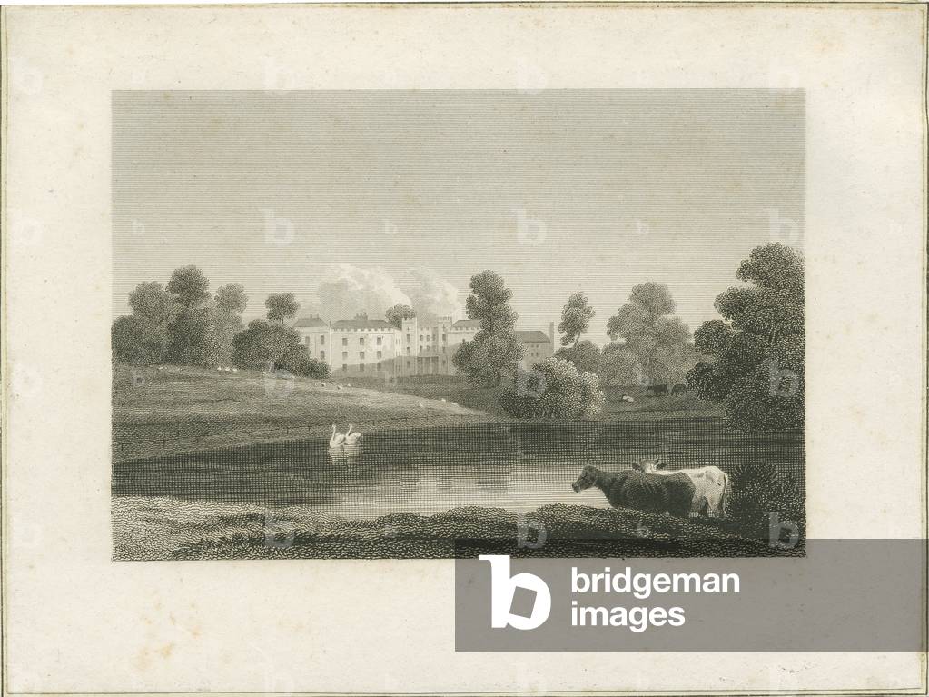 Enville Hall: engraving, nd [?late 18th cent] (print)