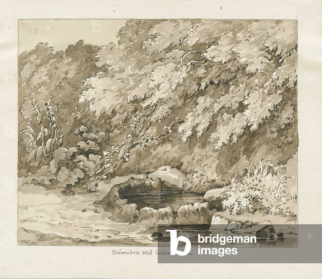 Codsall Wood - Brimstone Well: sepia drawing, 1837 (drawing)