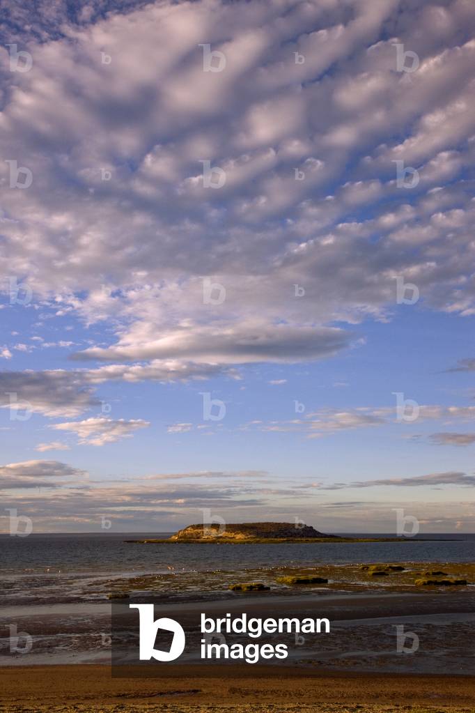 Isla de los Pajaros in the Golfo San Jose (photo)