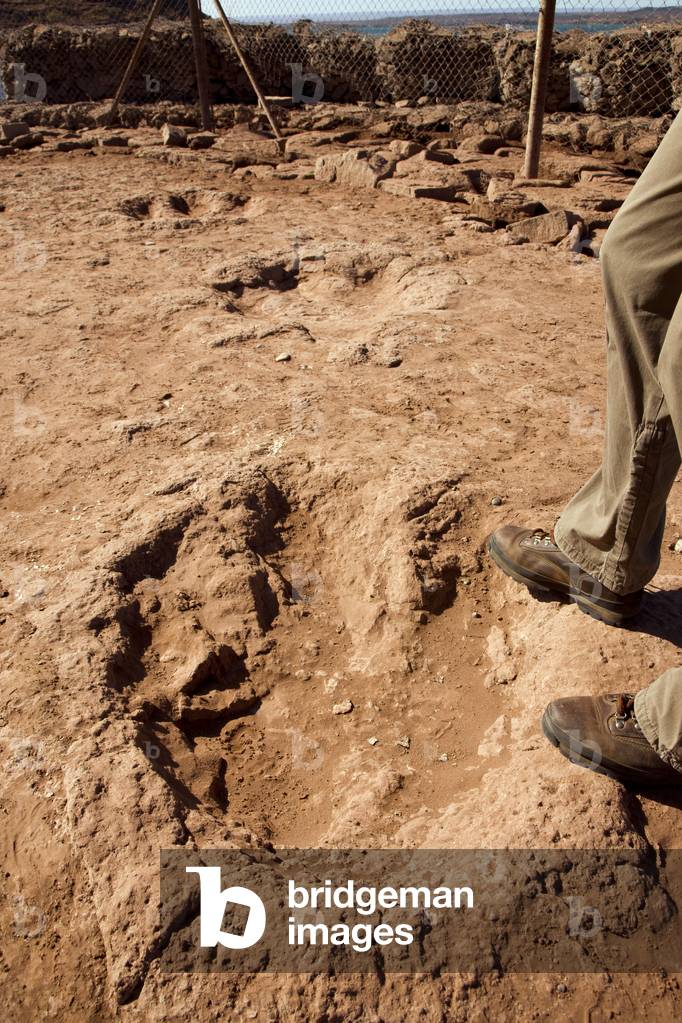 Paleontological site with Iguanadon dinosaur footprints in Parque Cretacico near Villa El Chocon (photo)