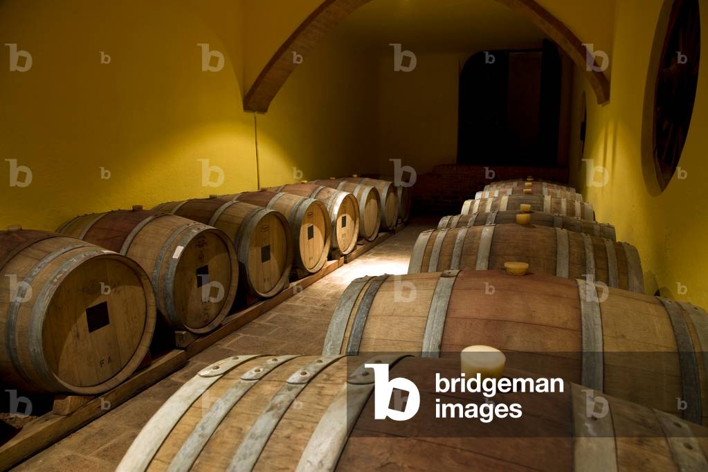 Vinas de Segisa winery, Argentina (photo)
