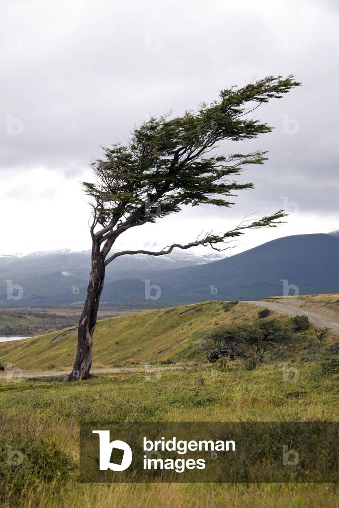 Views on the way to Estancia Harberton (photo)